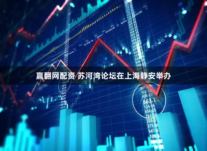 赢翻网配资 苏河湾论坛在上海静安举办