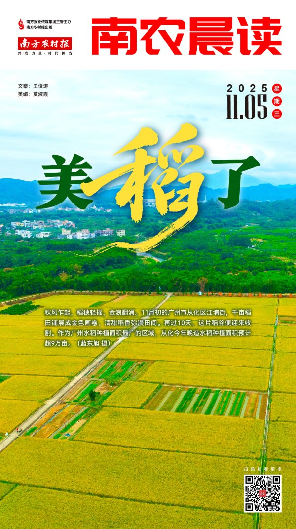 创界 南农晨读丨美“稻”了